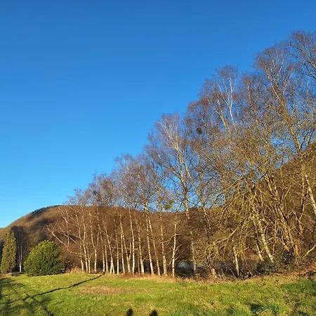 Tatil Evi Relaxooz *