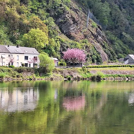 Relaxooz Holiday home